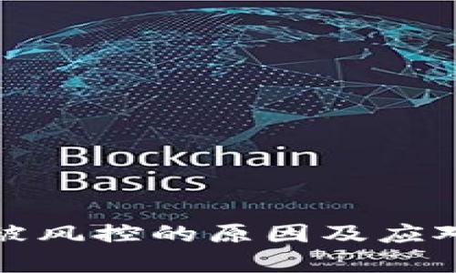 tpwallet被风控的原因及应对方案详解
