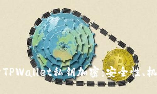 深入解析TPWallet私钥加密:安全性、机制与应用