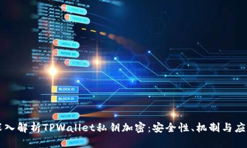 深入解析TPWallet私钥加密:安全性、机制与应用