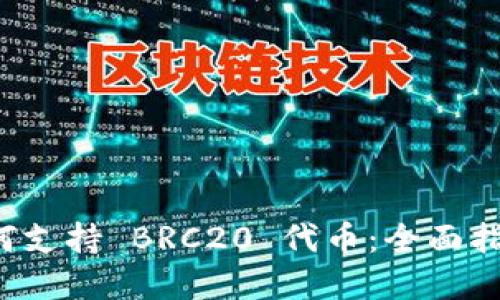TPWallet 如何支持 BRC20 代币:全面指南与应用实例