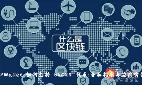 TPWallet 如何支持 BRC20 代币:全面指南与应用实例
