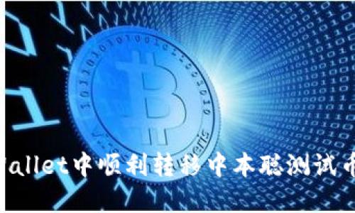 如何在TPWallet中顺利转移中本聪测试币:详细指南