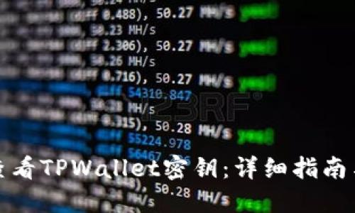 如何查看TPWallet密钥:详细指南与解答