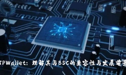 TPWallet: 理解其与BSC的兼容性与发展前景