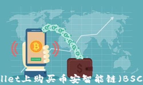 如何在TPWallet上购买币安智能链(BSC)的完整指南