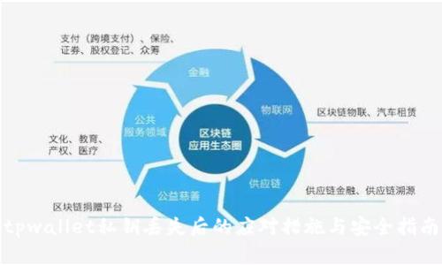 tpwallet私钥丢失后的应对措施与安全指南