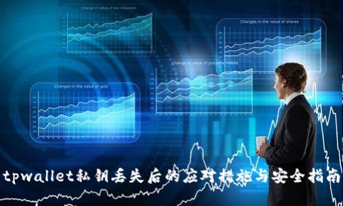 tpwallet私钥丢失后的应对措施与安全指南