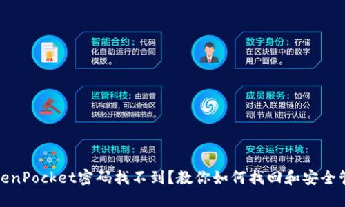 TokenPocket密码找不到?教你如何找回和安全管理