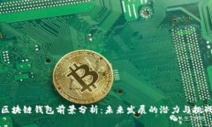 区块链钱包前景分析：未来发展的潜力与挑战