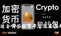 数字钱包：适合哪些数字平台及其应用前景分析
