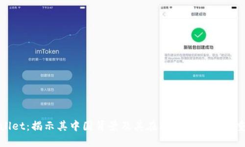 TPWallet：揭示其中国背景及其在区块链领域的重要性