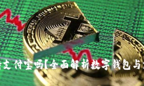 数字钱包支持支付宝吗?全面解析数字钱包与支付宝的融合