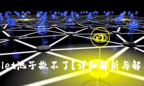 TPWallet池子撤不了?详细解析与解决方案