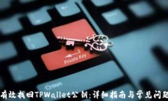 如何有效找回TPWallet公钥：详细指南与常见问题解