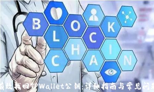 如何有效找回TPWallet公钥:详细指南与常见问题解析
