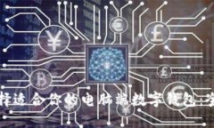 如何选择适合你的电脑端数字钱包：全面指南