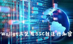 如何在TPWallet上使用BSC链进行加密货币兑换