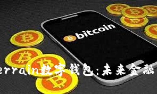 探索MudTerrain数字钱包：未来金融的无限可能