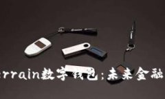 探索MudTerrain数字钱包：未来金融的无限可能