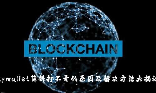 tpwallet薄饼打不开的原因及解决方法大揭秘