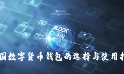 中国数字货币钱包的选择与使用指南