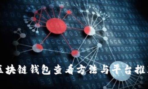 区块链钱包查看方法与平台推荐