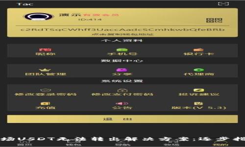 TP钱包波场USDT无法转出解决方案：逐步指南与技巧