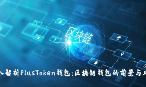深入解析PlusToken钱包:区块链钱包的前景与风险