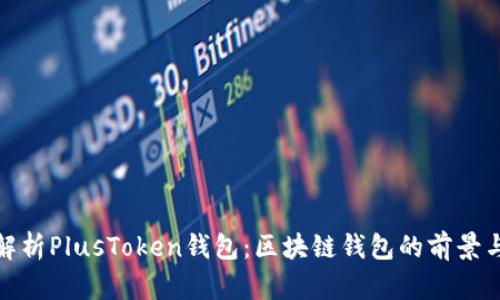深入解析PlusToken钱包:区块链钱包的前景与风险