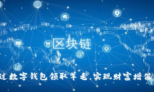 如何通过数字钱包领取羊毛,实现财富增值的秘笈!